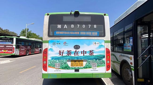 中茶長(zhǎng)沙公交車廣告3