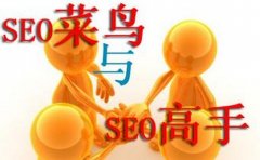 《SEO優化技術》新站不容易獲得排名和權重