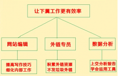 SEO團隊主管要做哪些工作