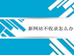 如何讓文章內容被百度快速收錄？